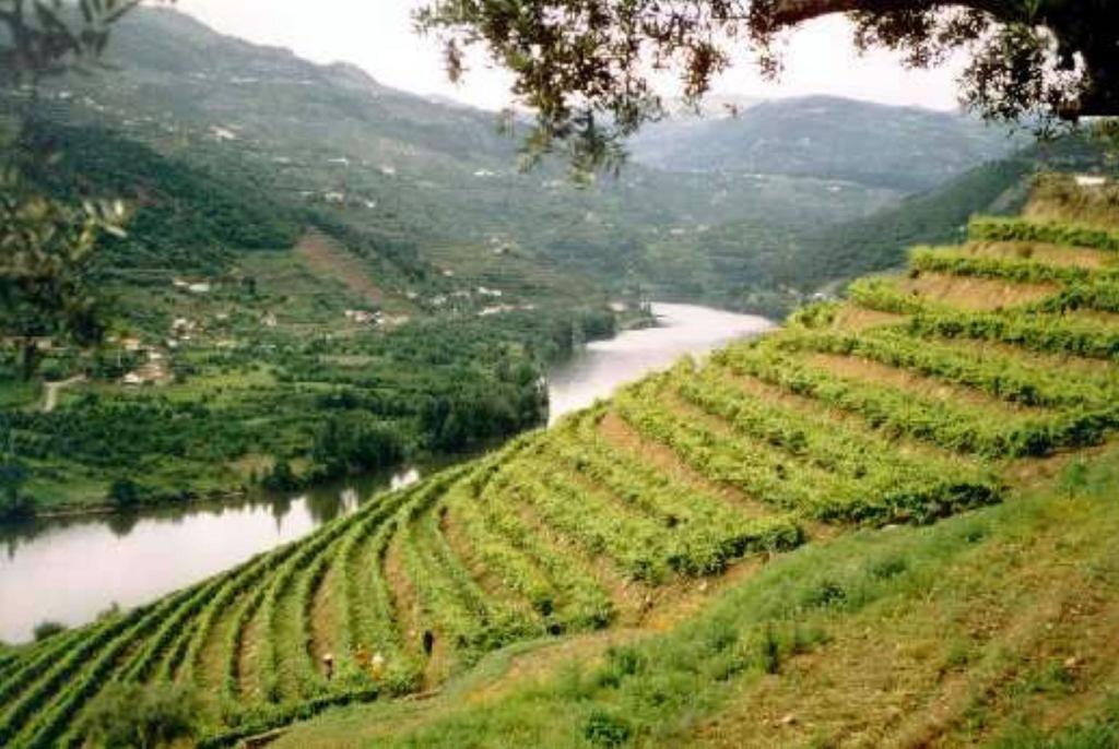 塔布科Douro House Loft别墅 外观 照片