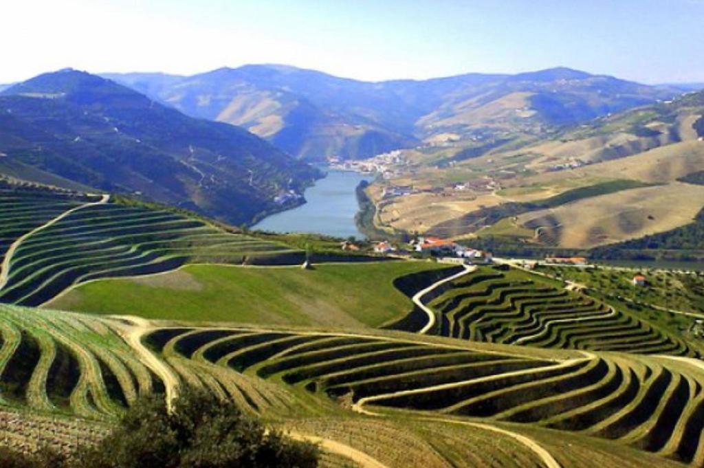 塔布科Douro House Loft别墅 外观 照片
